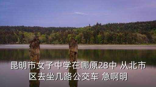 昆明女子中學，昆明市女子中學在哪原28中 從北市區(qū)去坐幾路公交車 急啊明