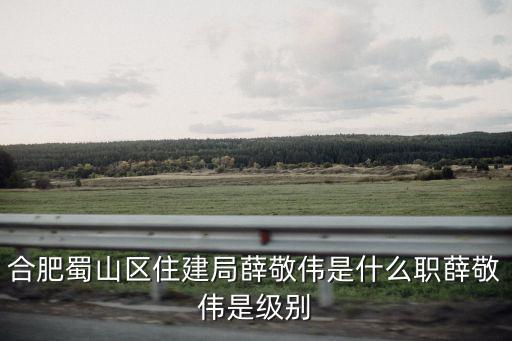 合肥蜀山區住建局薛敬偉是什么職薛敬偉是級別
