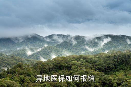 異地醫(yī)保如何報銷