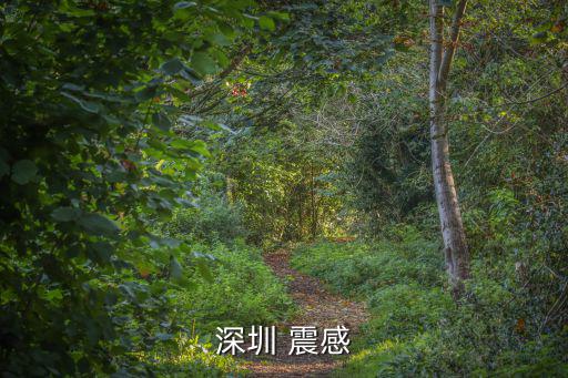 深圳震感，深圳 震感