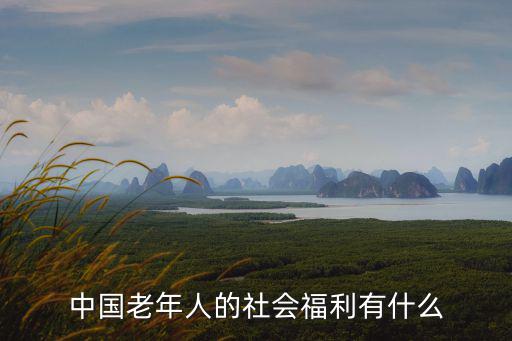 中國老年人的社會福利有什么