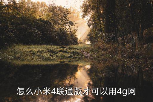 小米4聯通版，怎么小米4聯通版才可以用4g網