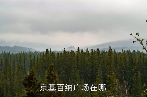 京基百納廣場，坐什么公共汽車可以到南山區京基百納廣場