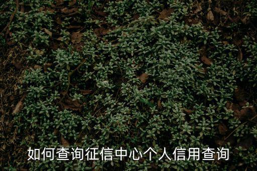個人征信中心，怎樣查征信中心的個人信用