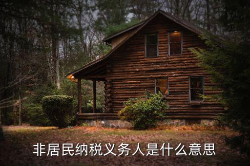 非居民納稅義務(wù)人是什么意思