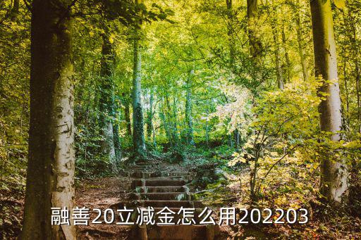 融善20立減金怎么用202203