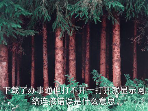 辦事通，下載了辦事通但打不開一打開就顯示網(wǎng)絡(luò)連接錯誤是什么意思