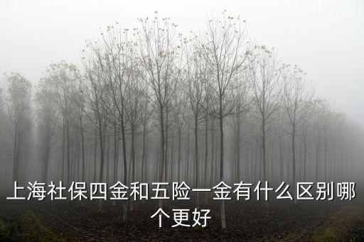 四險一金和五險一金區別，上海社保四金和五險一金有什么區別哪個更好