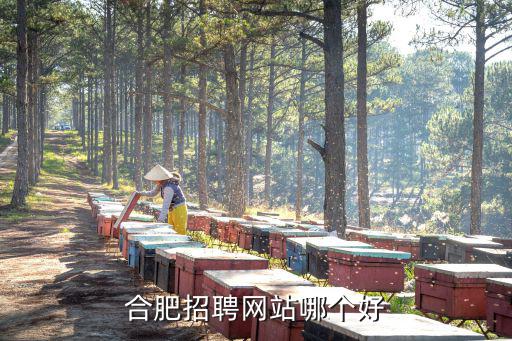 合肥招聘網站哪個好