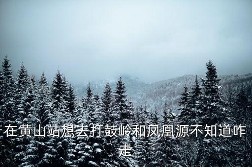 在黃山站想去打鼓嶺和鳳凰源不知道咋走