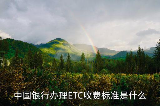 中國銀行辦理ETC收費標準是什么