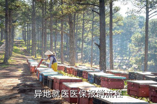 異地就醫(yī)醫(yī)保報銷流程