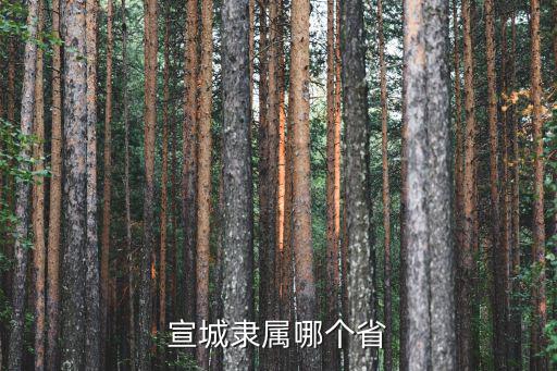 宣城在哪里，宣城隸屬哪個省