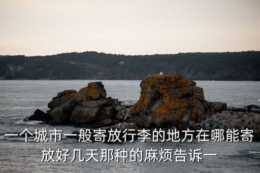 一個城市一般寄放行李的地方在哪能寄放好幾天那種的麻煩告訴一