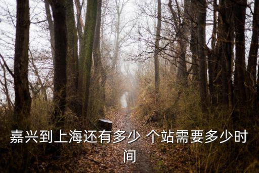 嘉興到上海還有多少 個站需要多少時間
