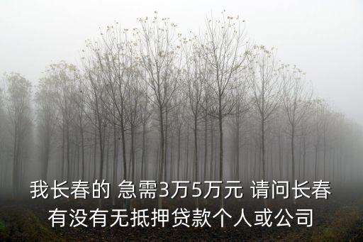 長春貸款，我長春的 急需3萬5萬元 請問長春有沒有無抵押貸款個人或公司