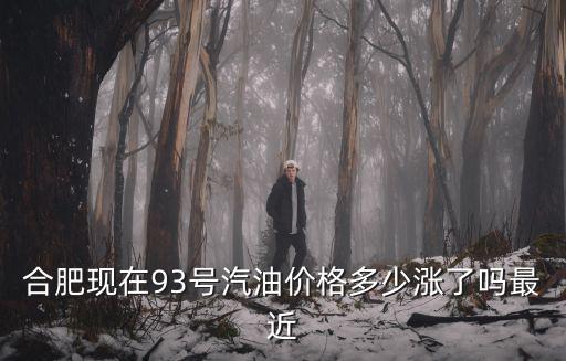 合肥現在93號汽油價格多少漲了嗎最近