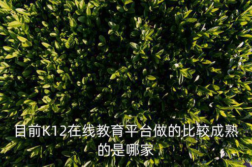 目前K12在線教育平臺做的比較成熟的是哪家