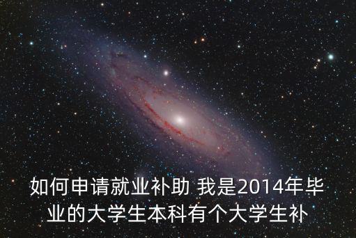 如何申請(qǐng)就業(yè)補(bǔ)助 我是2014年畢業(yè)的大學(xué)生本科有個(gè)大學(xué)生補(bǔ)