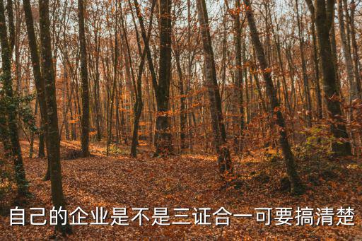 企業三證合一，企業三證合一營業執照有哪些內容