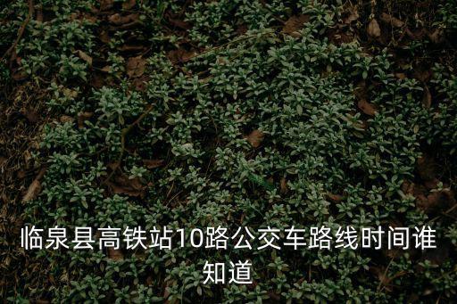 臨泉縣高鐵站10路公交車路線時間誰知道