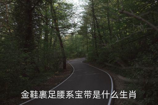 金鞋裹足腰系寶帶是什么生肖