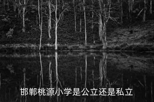 邯鄲桃源小學(xué)是公立還是私立