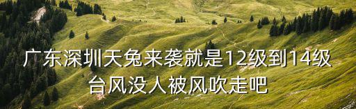 廣東深圳天兔來襲就是12級到14級臺風沒人被風吹走吧