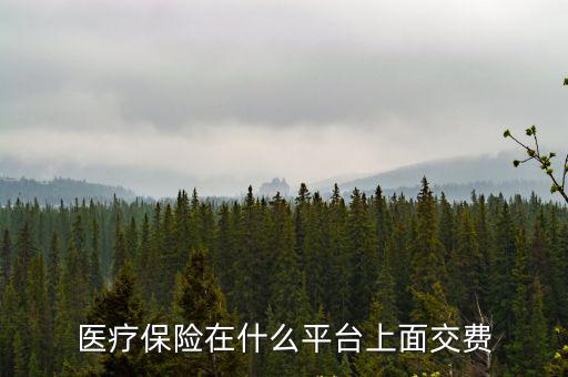 醫保平臺，醫療保險在什么平臺上面交費
