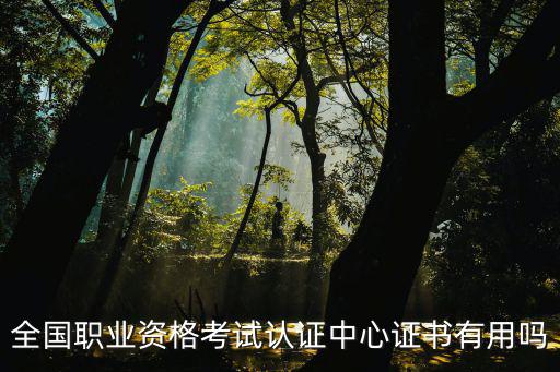 職業資格認證，職業技能的認證包括