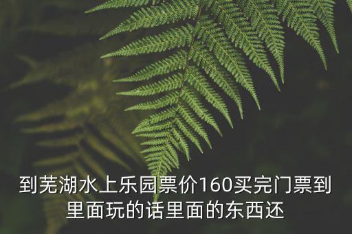 到蕪湖水上樂園票價160買完門票到里面玩的話里面的東西還