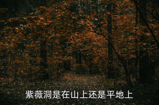 紫薇洞是在山上還是平地上