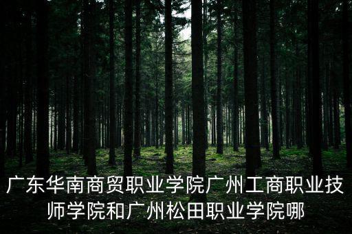 廣東華南商貿(mào)職業(yè)學(xué)院廣州工商職業(yè)技師學(xué)院和廣州松田職業(yè)學(xué)院哪