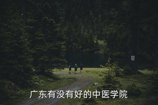 廣東有沒有好的中醫學院