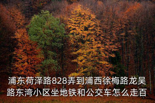 東灣小區，東灣小區怎么樣
