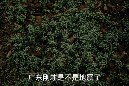 廣東省地震，廣東剛才是不是地震了