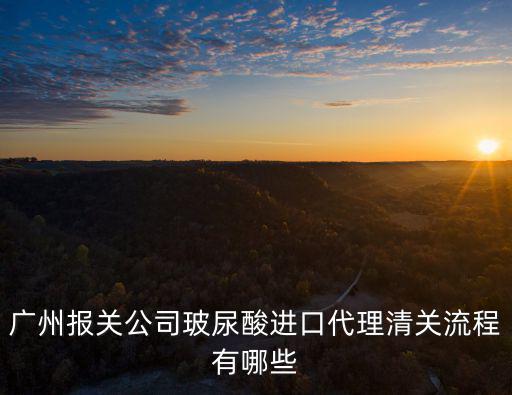 廣州報(bào)關(guān)公司玻尿酸進(jìn)口代理清關(guān)流程有哪些