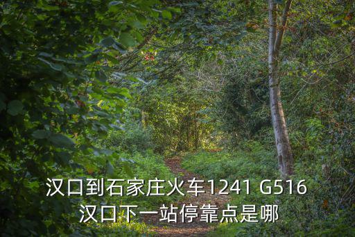 漢口到石家莊火車1241 G516 漢口下一站停靠點是哪