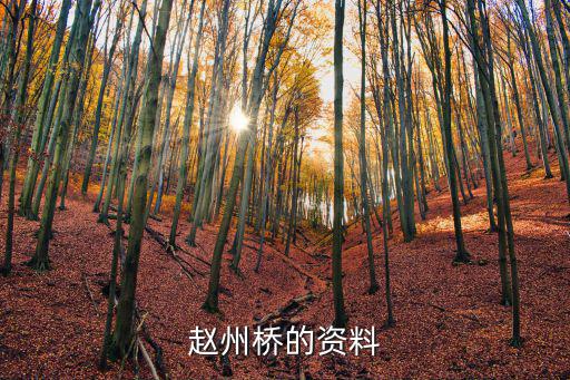 趙州橋的資料