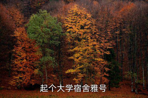 起個大學宿舍雅號