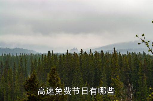 高速免費的節日，高速免費節日有哪些