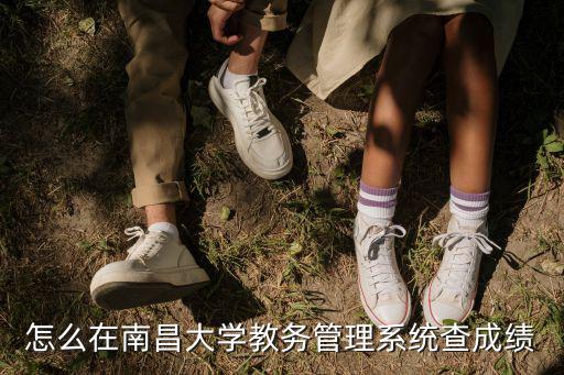 怎么在南昌大學教務管理系統查成績