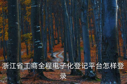 浙江省工商全程電子化登記平臺怎樣登錄