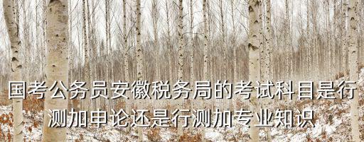 國考公務員安徽稅務局的考試科目是行測加申論還是行測加專業知識