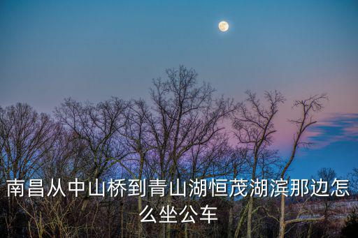 恒茂湖濱，南昌恒茂在什么地方
