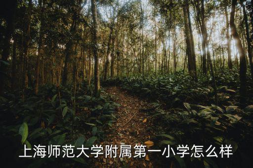 上師大附小，徐匯上師大附小這個(gè)小學(xué)如何
