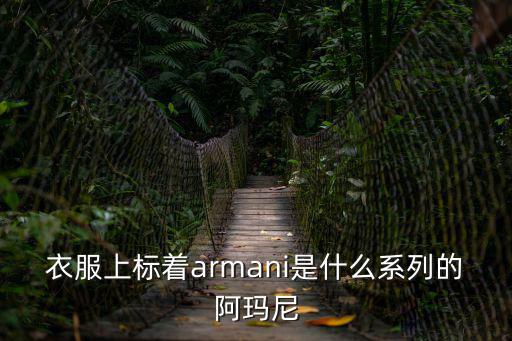 衣服上標著armani是什么系列的阿瑪尼