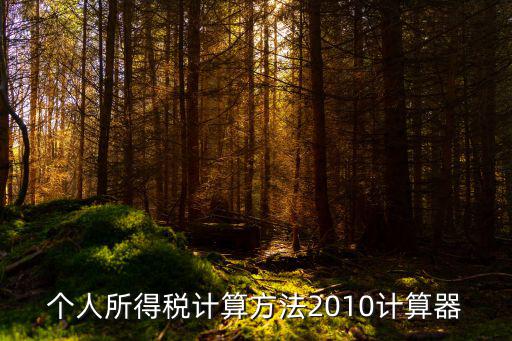 個人所得稅計算器，個人所得稅計算方法2010計算器