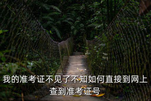 準考證號查詢，想詢問一下怎么查找自己的會從準考證號
