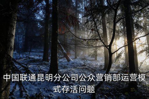 中國聯通公司，中國聯通昆明分公司公眾營銷部運營模式存活問題